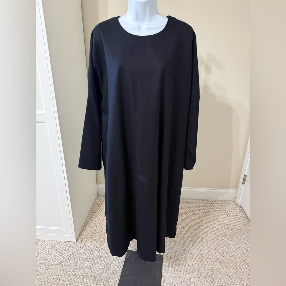 Eskandar Stunning A-Line Black Long Sleeve Dress Sz 1